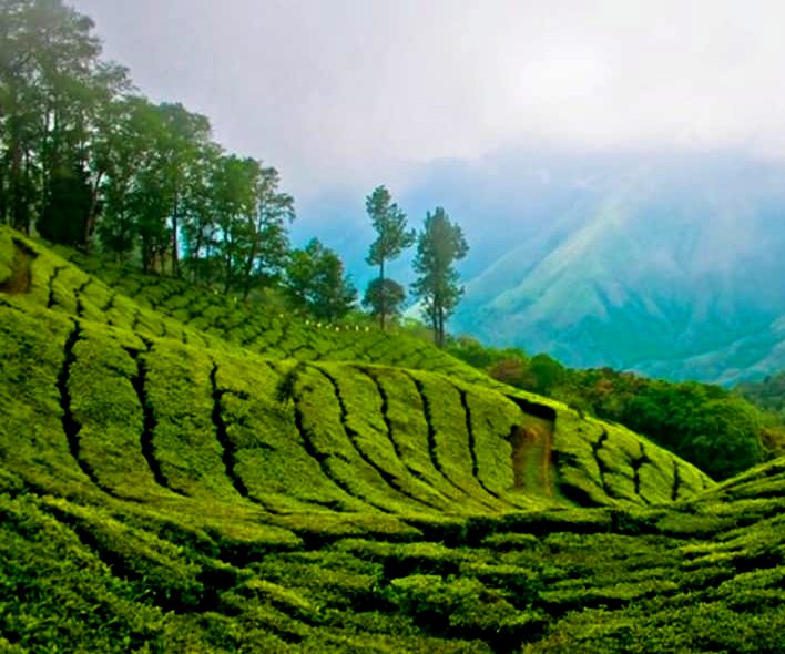 munnar