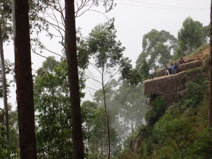 sightseeing-dolphin-nose