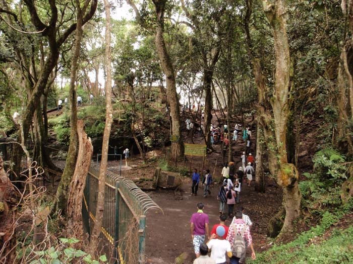 sightseeing-gunacave